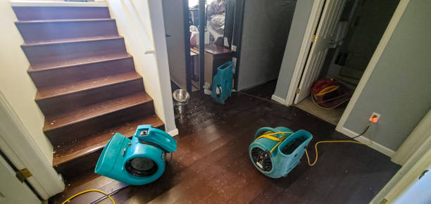 Best Commercial water damage restoration  in El Lago, TX