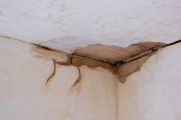 Best Fire Damage Restoration  in El Lago, TX